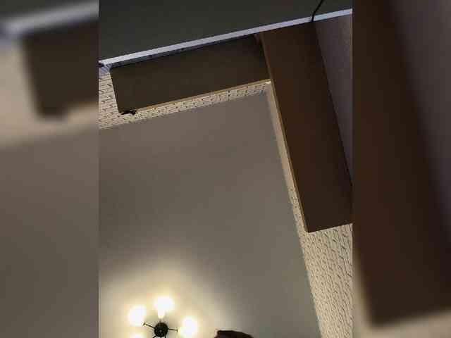 ROSALIA webcam