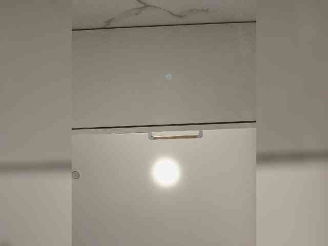 ROSALIA webcam