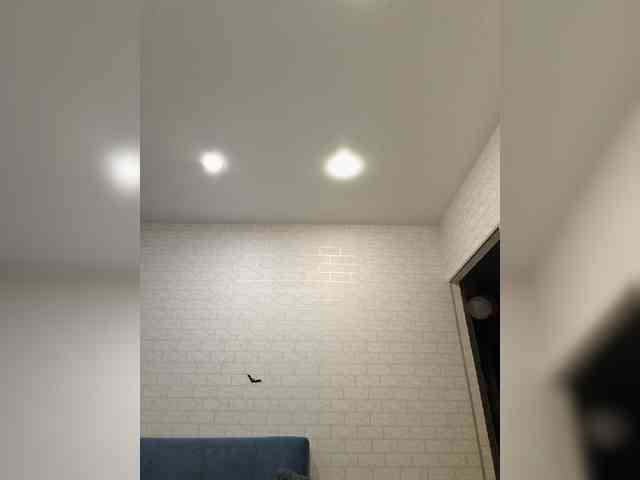 ROSALIA webcam