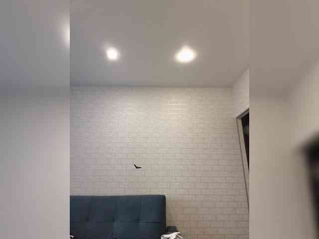 ROSALIA webcam