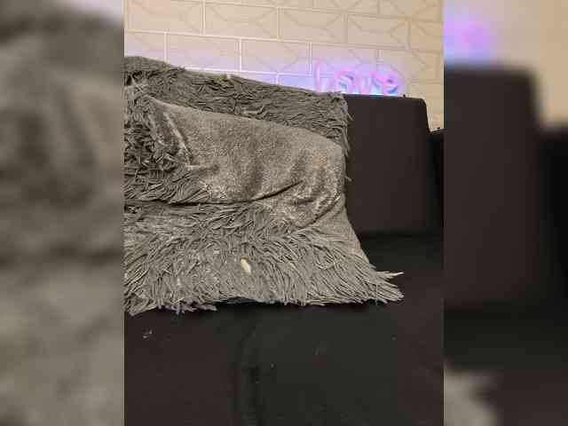 ROSALIA webcam