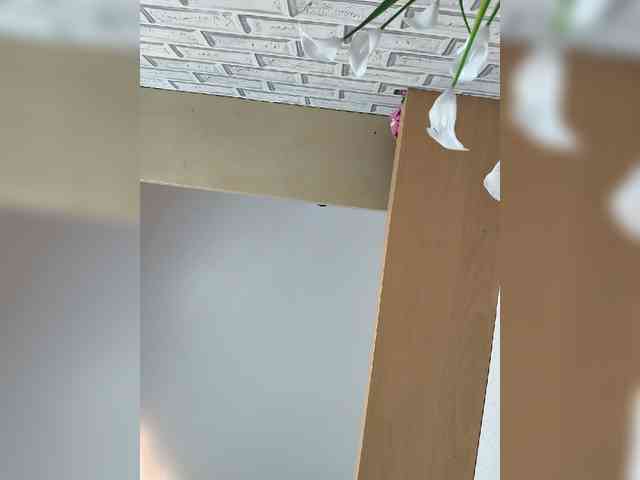 ROSALIA webcam