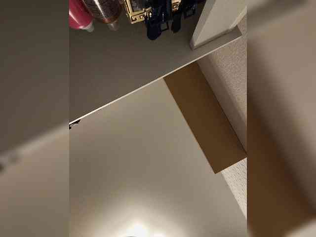 ROSALIA webcam