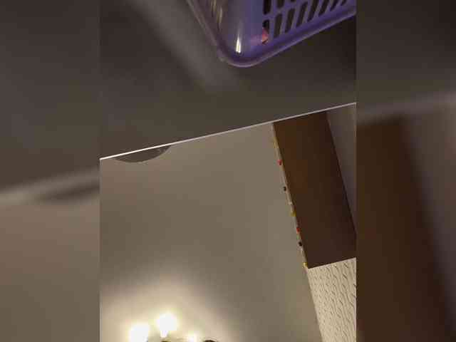 ROSALIA webcam