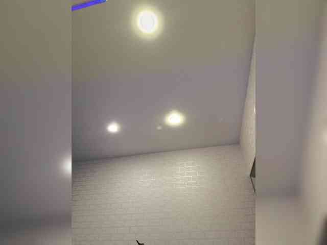 ROSALIA webcam