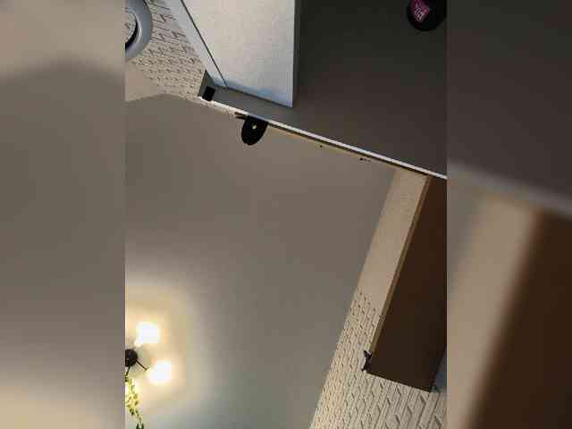 GORIGLAZ webcam