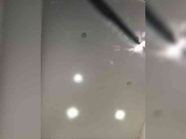 ROSALIA webcam