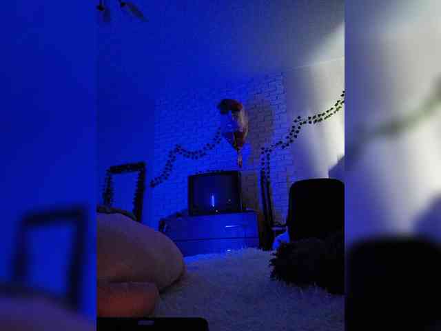 GORIGLAZ webcam