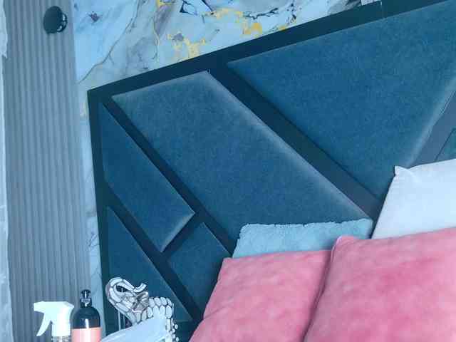 SofiaCopper webcam