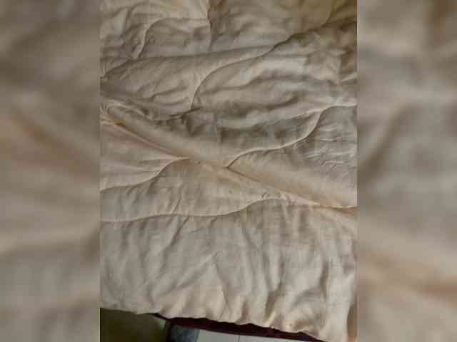 Daddyyyc webcam