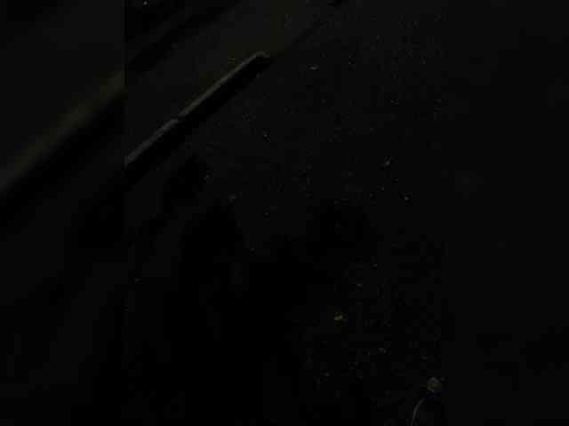 Panzer2317 Panzer2317