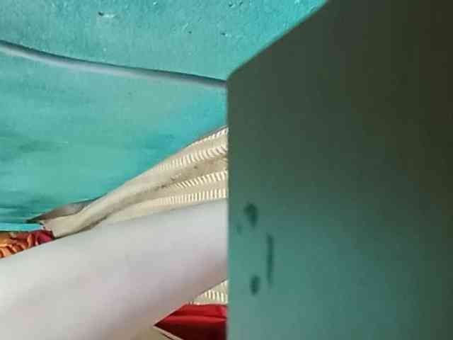 Anamis webcam