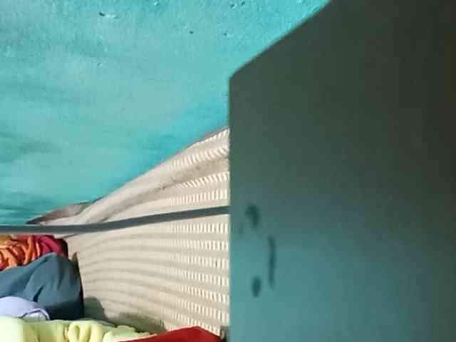 Anamis webcam