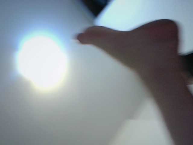 kotkite Live Cam and Statistics on UnifiedCams