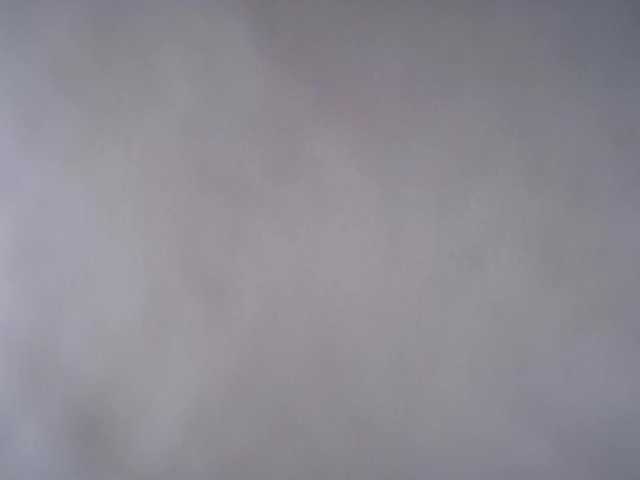 kotkite's BongaCams show and profile