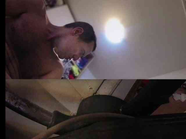 kotkite webcam
