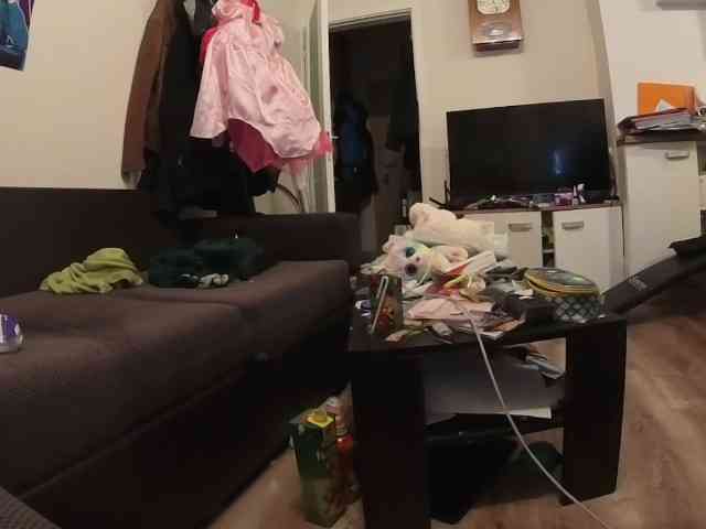 kotkite webcam