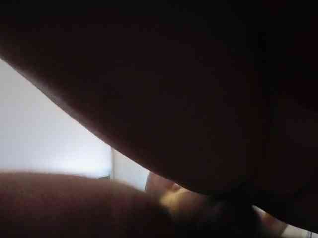 kotkite webcam