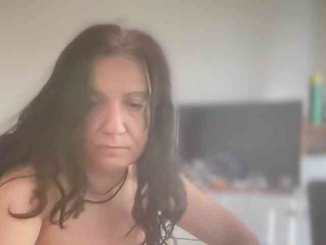 kotkite webcam