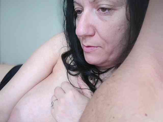 kotkite webcam