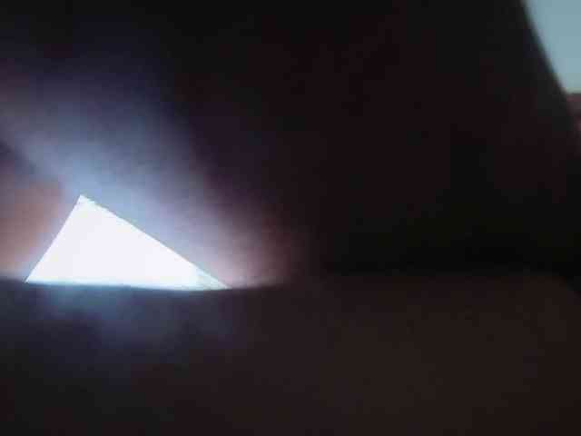 kotkite webcam