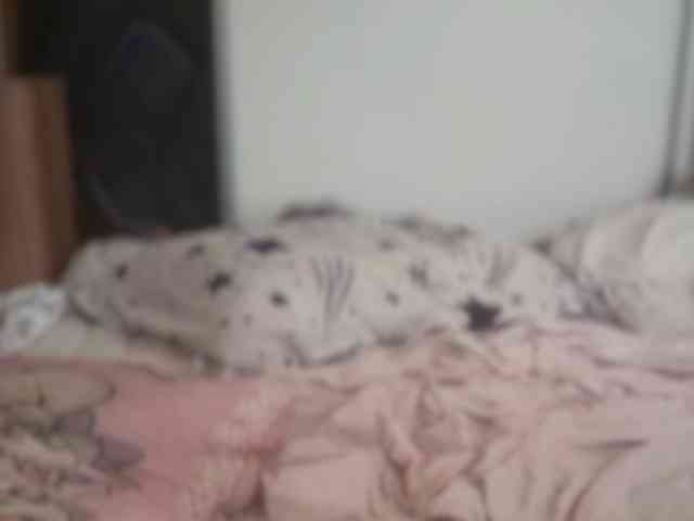 kotkite webcam