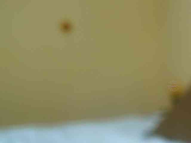 Modelo: pr1vatecouple