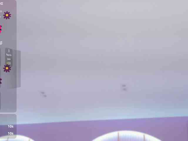 IrisSweety webcam