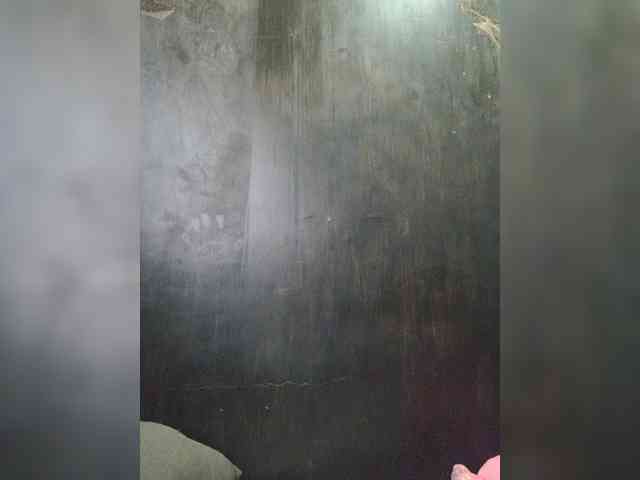 Kiffylory webcam