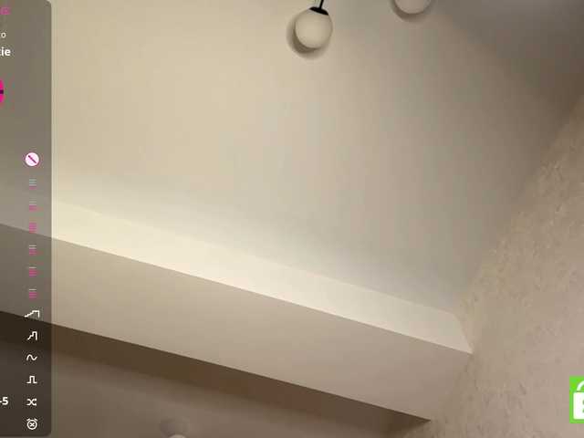 ElisabethReichling live cam on BongaCams