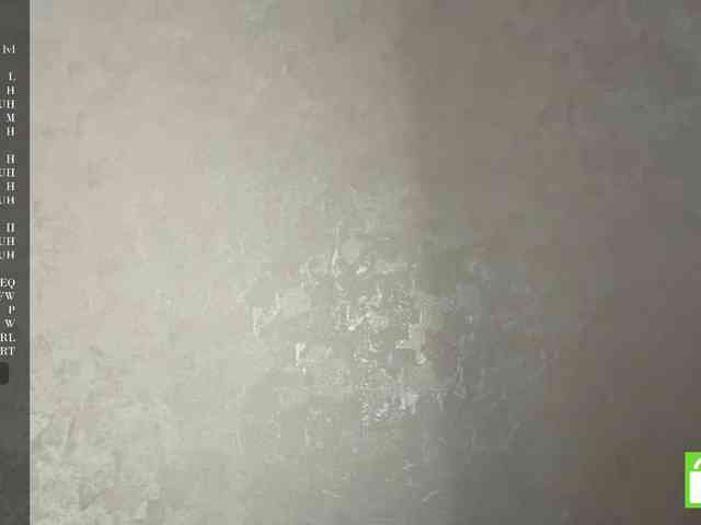 ElisabethReichling webcam