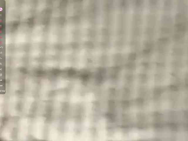 ElisabethReichling webcam