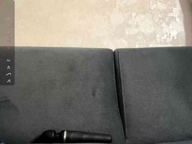ElisabethReichling webcam