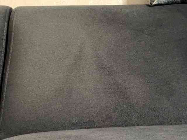 ElisabethReichling webcam