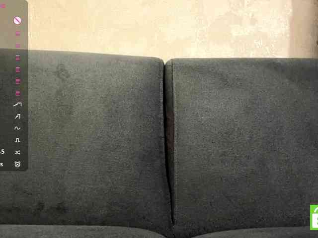 ElisabethReichling webcam
