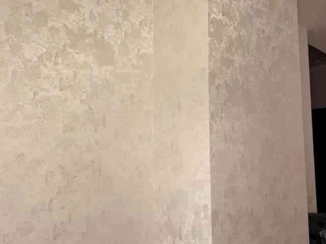 ElisabethReichling webcam