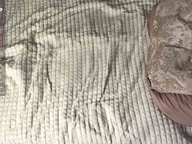ElisabethReichling webcam