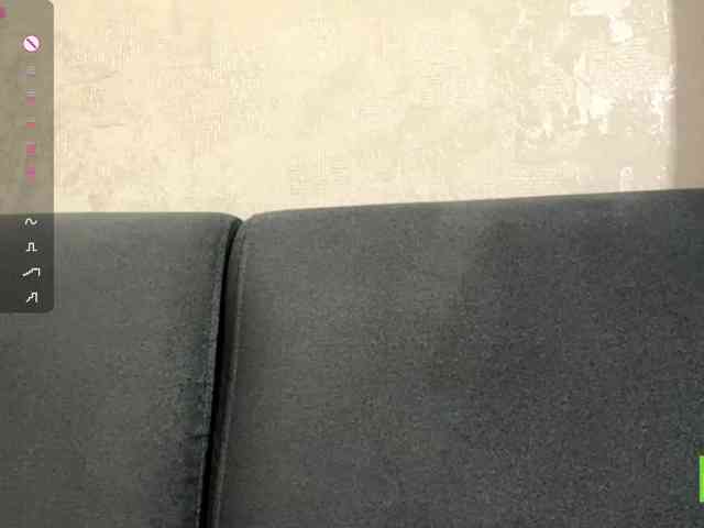 ElisabethReichling webcam
