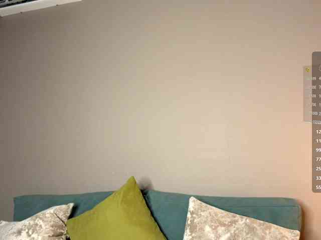 ElisabethReichling webcam