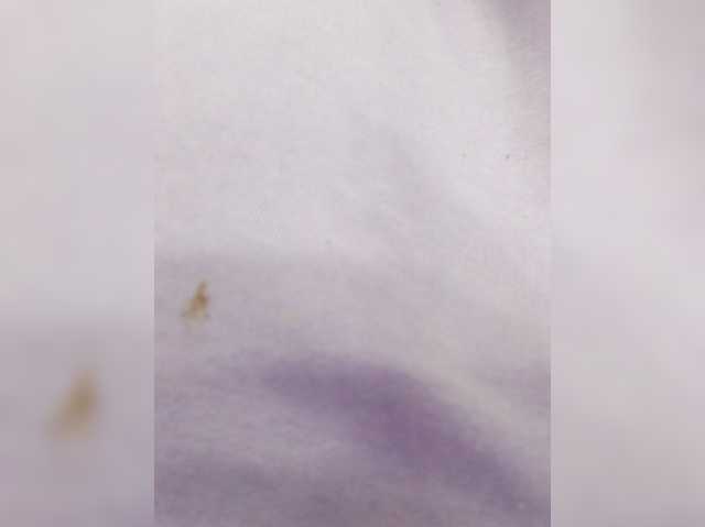 CloeBonet live cam preview