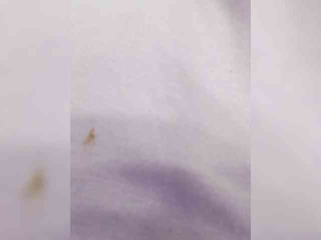 CloeBonet webcam