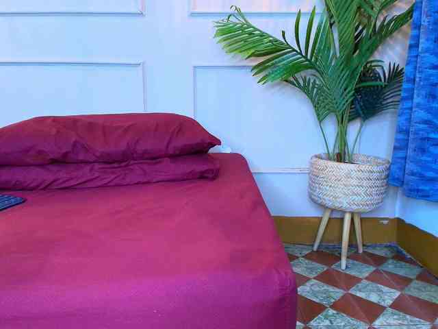 sashavellor