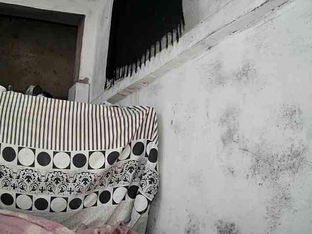 jenah2 webcam