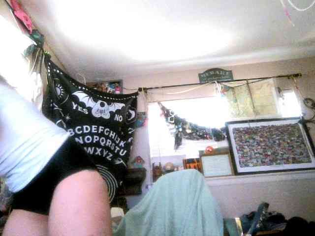 dankskank3 webcam