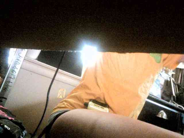 dankskank3 webcam