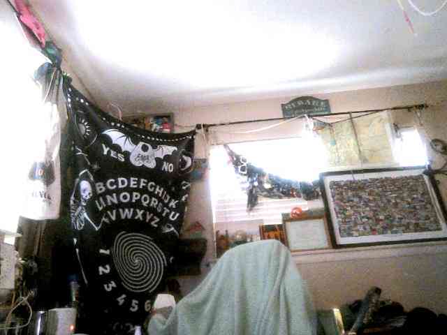 dankskank3 webcam