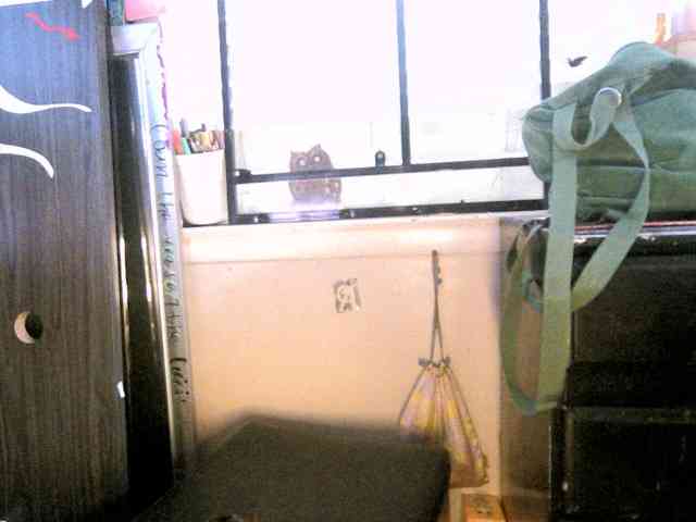 dankskank3 webcam