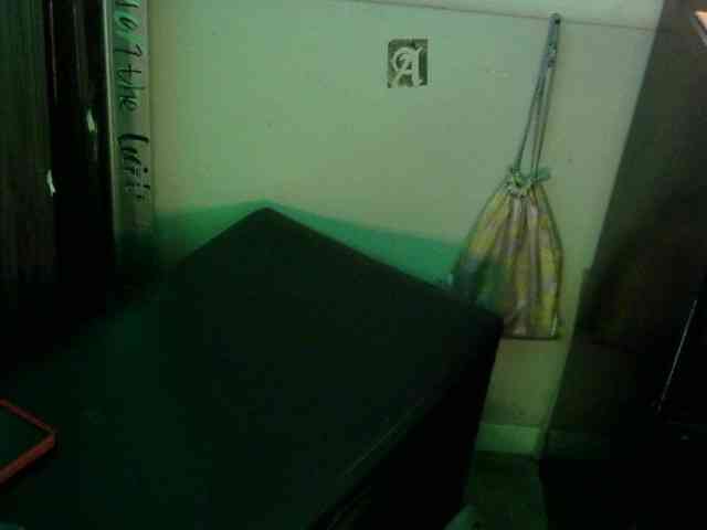 dankskank3 webcam