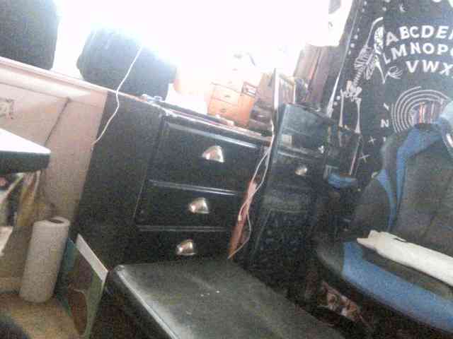 dankskank3 webcam