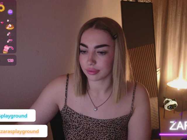 Preview of zarasplayground